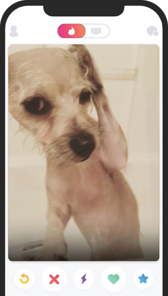 tindog app